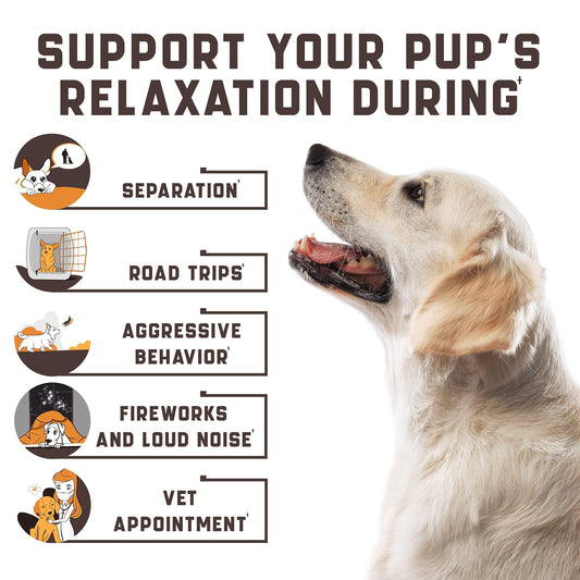 Calming Chews for Labrador Dogs with Valerian Root and Hemp Oil Aid