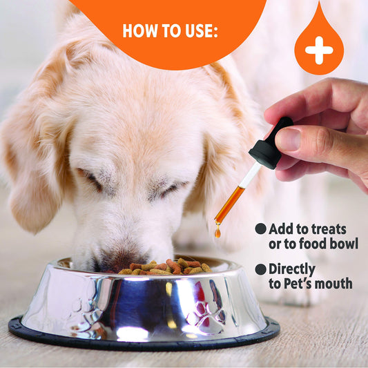 Hemp Oil for Dogs & Cats Large 2oz Bottle Made in USA Joint Pain